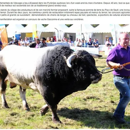 Holiday home Maison - Chez Louisette *