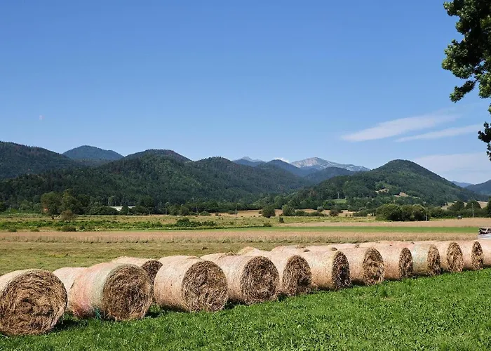 Maison - Chez Louisette *
